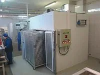 Ковекционная сушильная камера К-300 (на три закатные тележки)