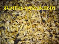 Ячмень фуражный 40 кг