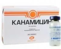 Канамицин 10% по 10 мл